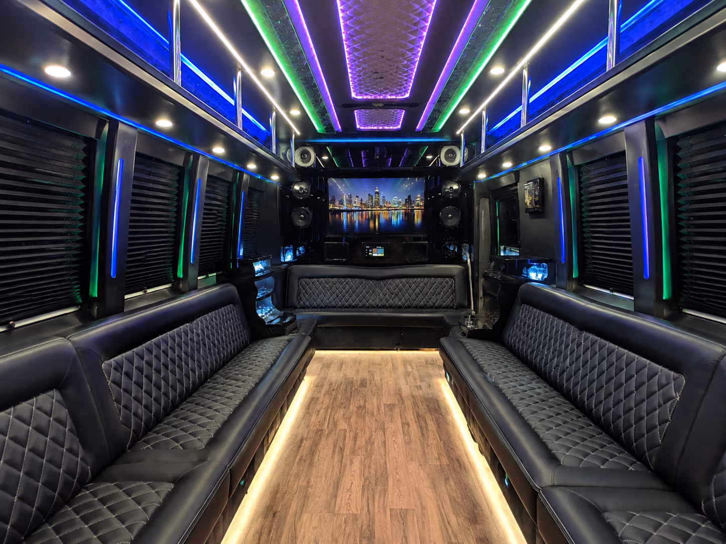 southaven 25 passenger party bus interior