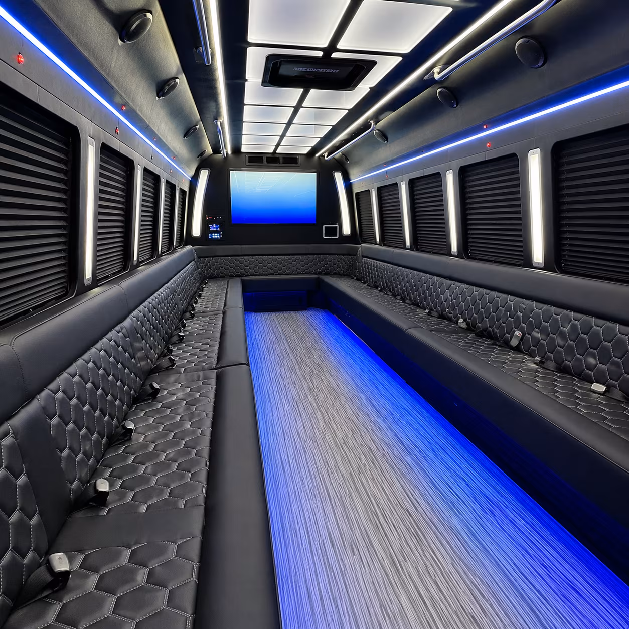 southaven 50 passenger party bus inside